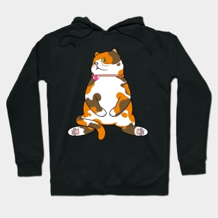 Fat Calico Cat Hoodie